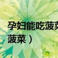 孕妇能吃菠菜吗（带你了解一下孕妇能不能吃菠菜）