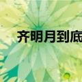 齐明月到底喜欢谁（剧情是怎么解释的）