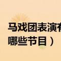 马戏团表演有哪些节目（马戏团表演一般都有哪些节目）