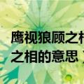 鹰视狼顾之相是什么意思（怎么理解鹰视狼顾之相的意思）