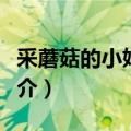 采蘑菇的小姑娘歌词（采蘑菇的小姑娘歌曲简介）