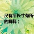 尺有所长寸有所长的意思是什么（尺有所短寸有所长这句话的解释）