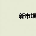 新市坝镇（关于新市坝镇简介）