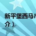 新平堡西马市口村（关于新平堡西马市口村简介）