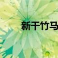 新干竹马舞（关于新干竹马舞简介）