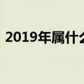 2019年属什么生肖（出生在2019年属什么）