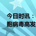 今日时讯：呼吸道合胞病毒在蔓延 呼吸道合胞病毒高发季来了