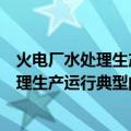 火电厂水处理生产运行典型问题诊断分析（关于火电厂水处理生产运行典型问题诊断分析介绍）