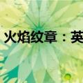 火焰纹章：英雄（关于火焰纹章：英雄介绍）