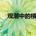 观潮中的横贯是什么意思（横贯的出处）