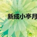 新成小亭月夜（关于新成小亭月夜简介）