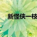 新怪侠一枝梅（关于新怪侠一枝梅简介）