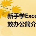 新手学Excel高效办公（关于新手学Excel高效办公简介）