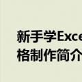 新手学Excel表格制作（关于新手学Excel表格制作简介）