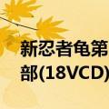 新忍者龟第3部(18VCD)（关于新忍者龟第3部(18VCD)简介）