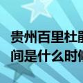 贵州百里杜鹃最佳时间（贵州百里杜鹃最佳时间是什么时候）