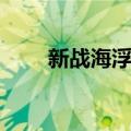 新战海浮生（关于新战海浮生简介）