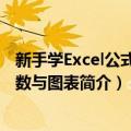 新手学Excel公式、函数与图表（关于新手学Excel公式、函数与图表简介）