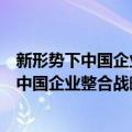 新形势下中国企业整合战略与动态竞争研究（关于新形势下中国企业整合战略与动态竞争研究简介）