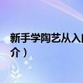 新手学陶艺从入门到精通（关于新手学陶艺从入门到精通简介）