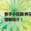 新手小花园:养花种菜全图解（关于新手小花园:养花种菜全图解简介）