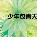 少年包青天的主题曲（少年包青天简介）