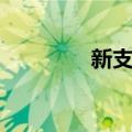 新支点（关于新支点简介）