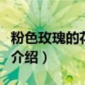 粉色玫瑰的花语是什么意思（粉色玫瑰的花语介绍）