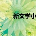 新文学小讲（关于新文学小讲简介）