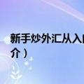 新手炒外汇从入门到精通（关于新手炒外汇从入门到精通简介）