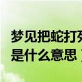 梦见把蛇打死了是什么预兆（梦见把蛇打死了是什么意思）