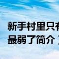 新手村里只有我最弱了（关于新手村里只有我最弱了简介）