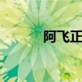 阿飞正传电影（阿飞正传介绍）