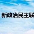 新政治民主联合（关于新政治民主联合简介）