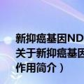 新抑癌基因NDRG2在甲状腺癌上皮间质转化中的调控作用（关于新抑癌基因NDRG2在甲状腺癌上皮间质转化中的调控作用简介）