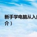 新手学电脑从入门到精通（关于新手学电脑从入门到精通简介）