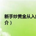 新手炒黄金从入门到精通（关于新手炒黄金从入门到精通简介）