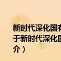 新时代深化国有企业改革重大理论与实践专题研究报告（关于新时代深化国有企业改革重大理论与实践专题研究报告简介）