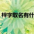 梓字取名有什么寓意（梓字取名有哪些寓意）