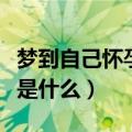 梦到自己怀孕是什么意思（梦到自己怀孕含义是什么）