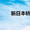 新日本桥站（关于新日本桥站简介）