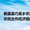 新昌县巧英乡农民合作经济组织联合会（关于新昌县巧英乡农民合作经济组织联合会简介）