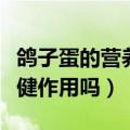 鸽子蛋的营养价值及功效有哪些（鸽子蛋有保健作用吗）