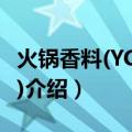 火锅香料(YC-10-5)（关于火锅香料(YC-10-5)介绍）