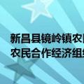 新昌县镜岭镇农民合作经济组织联合会（关于新昌县镜岭镇农民合作经济组织联合会简介）