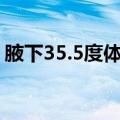 腋下35.5度体温正常吗（成年人的正常体温）