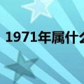 1971年属什么生肖（1971年属什么生肖呢）