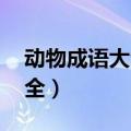 动物成语大全（四字成语 带有动物的成语大全）