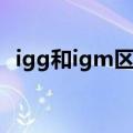 igg和igm区别（igg和igm有什么不一样）