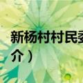 新杨村村民委员会（关于新杨村村民委员会简介）